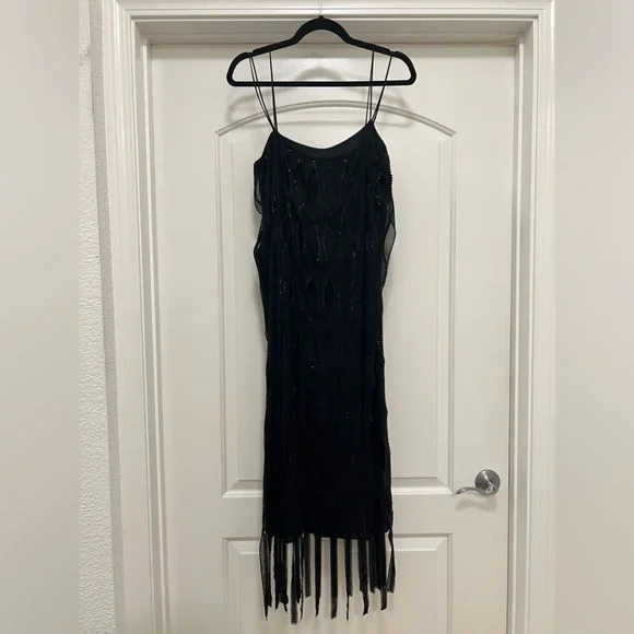 NWT Zara Sequin Beaded Fringe Dress - Picture 9 of 16
